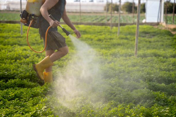 Best Pest Inspection Near Me  in Titusville, FL
