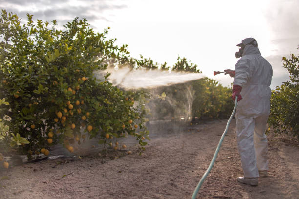 Best Wildlife Control Services  in Titusville, FL