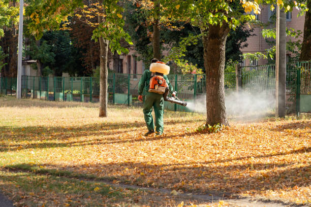 Best Flea Control Services  in Titusville, FL