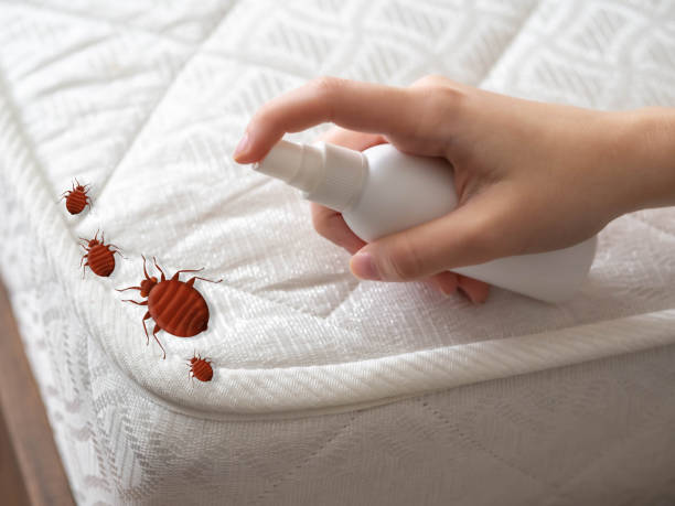 Best Pest Removal Services  in Titusville, FL