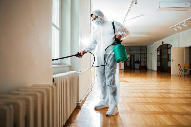 Best Ant Control Services  in Titusville, FL