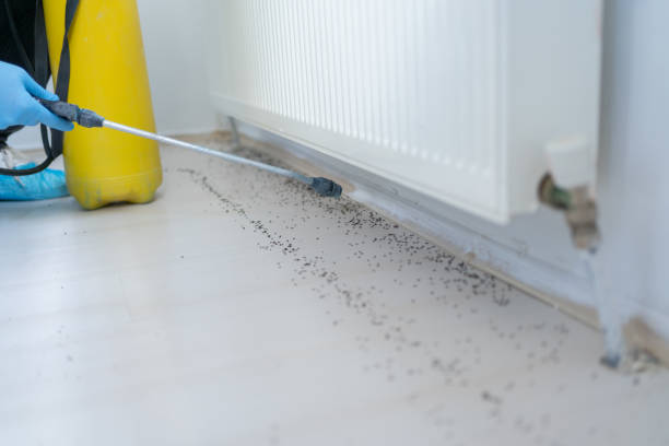 Best Termite Control Services  in Titusville, FL