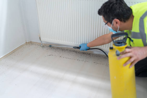 Best Best Pest Control Companies  in Titusville, FL